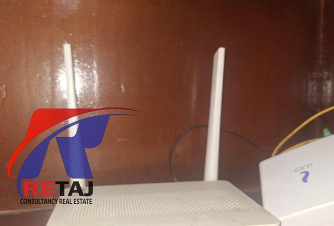 55994256 - Property Image 2