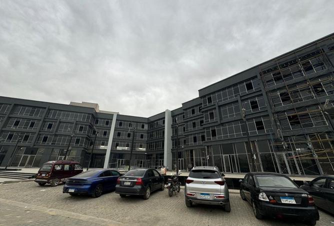 51669163 - Property Image 3