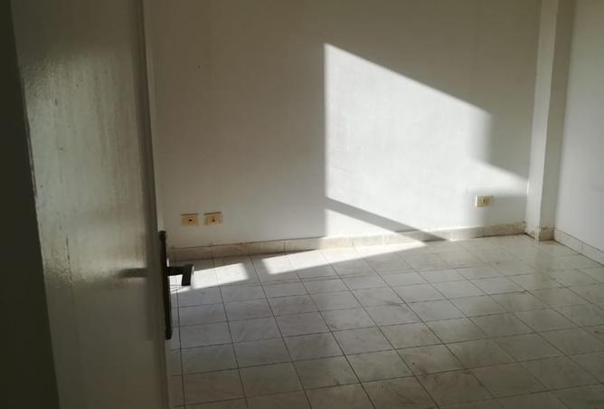 97443552 - Property Image 3