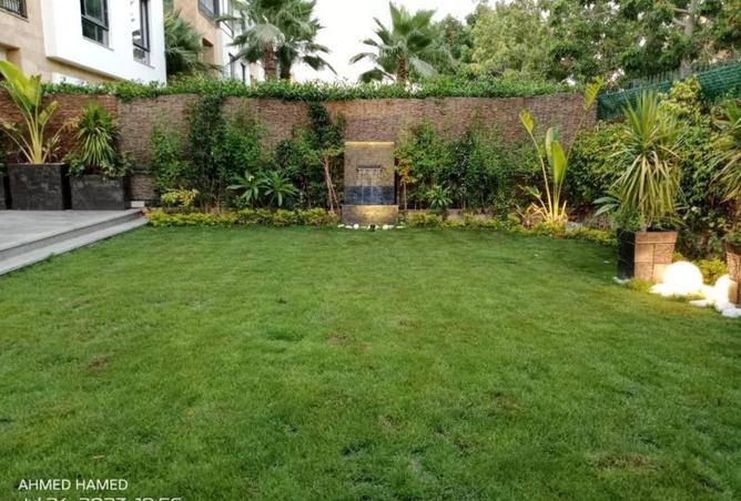 70109668 - Property Image 2