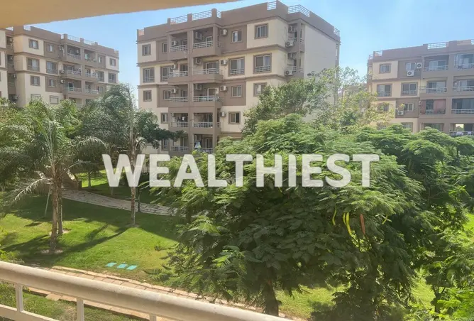 116754417 - Property Image 2