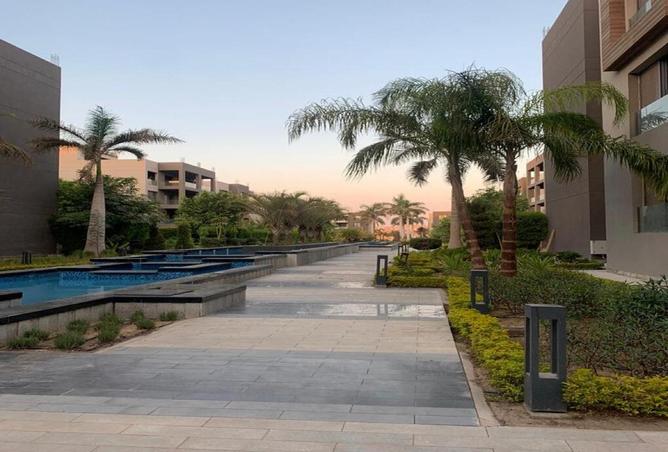 80791520 - صورة العقار 3