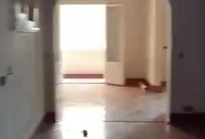 8307783 - صورة العقار 3