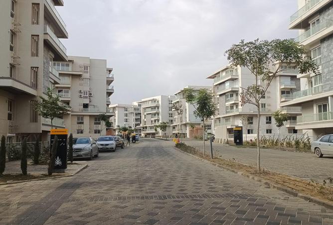 82100735 - Property Image 3