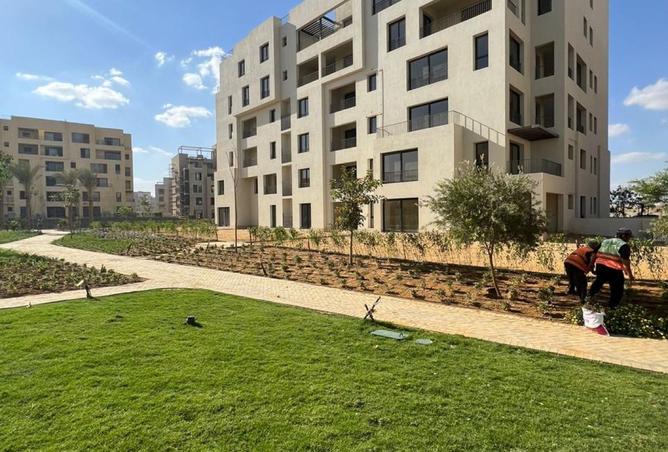 8317843 - الصورة الرئيسية للعقار