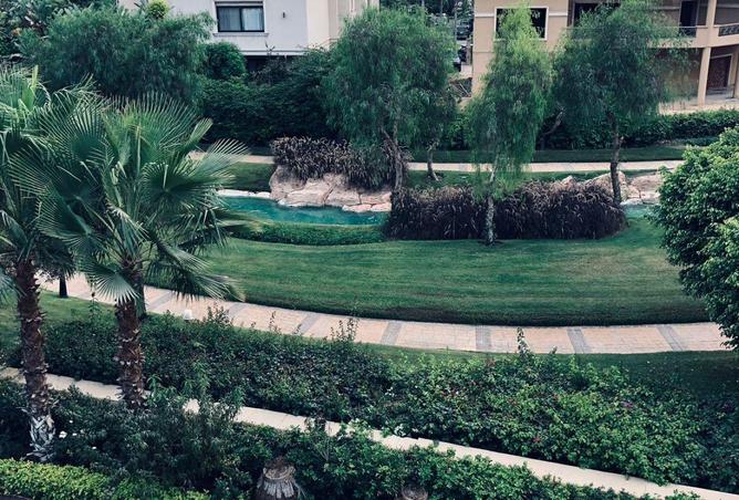 64902485 - صورة العقار 2