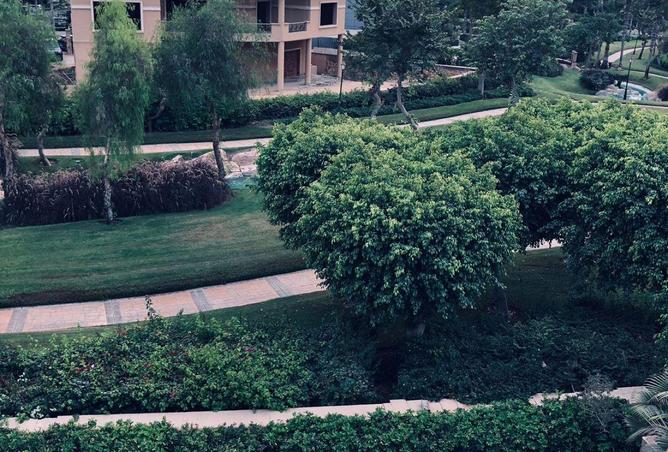 64902485 - صورة العقار 3