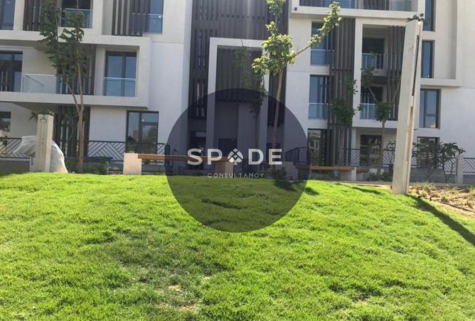 56008136 - Property Image 3