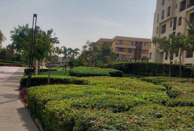 8585999 - Property Image 3