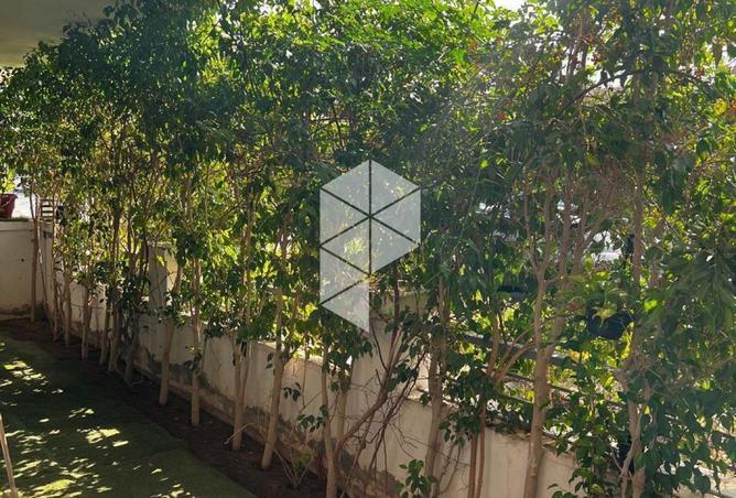 8716793 - الصورة الرئيسية للعقار