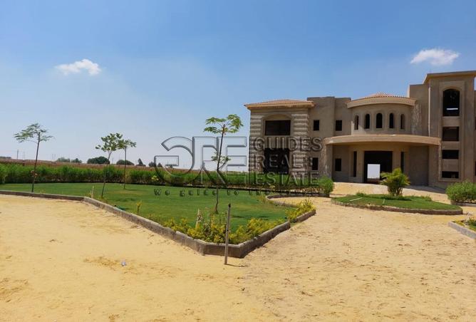 8584443 - Property Image 3