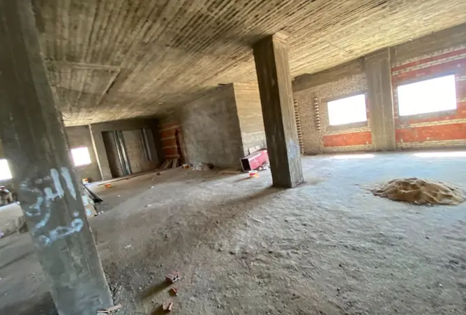 117539525 - Property Image 3