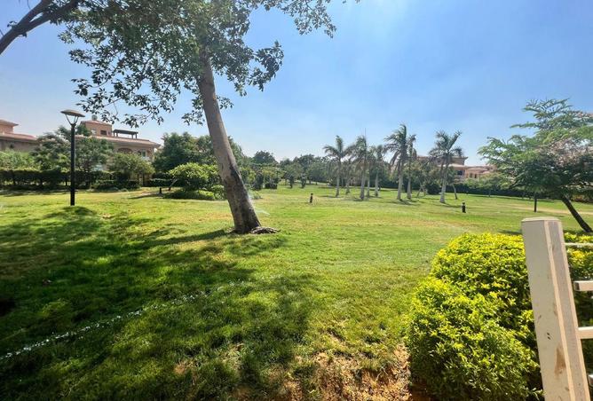 58737003 - صورة العقار 2