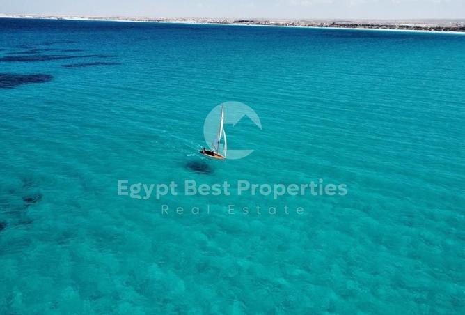 98010244 - صورة العقار 3