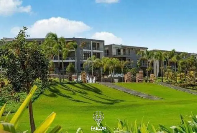 115453240 - Property Image 2