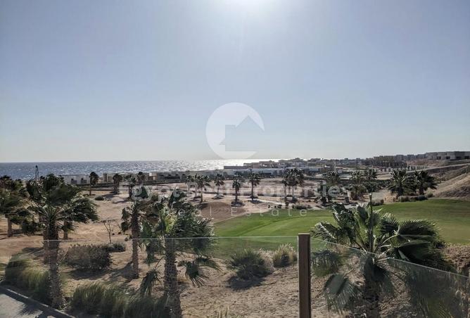 58253555 - صورة العقار 3