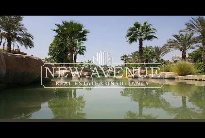 67999640 - Property Image 3