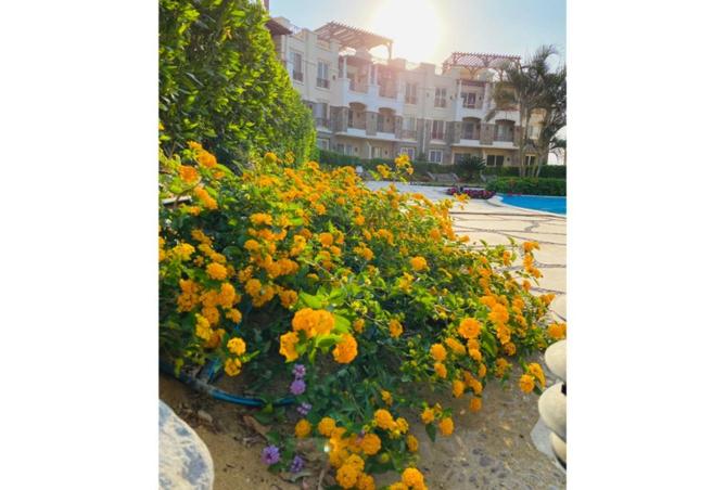 61694208 - صورة العقار 2