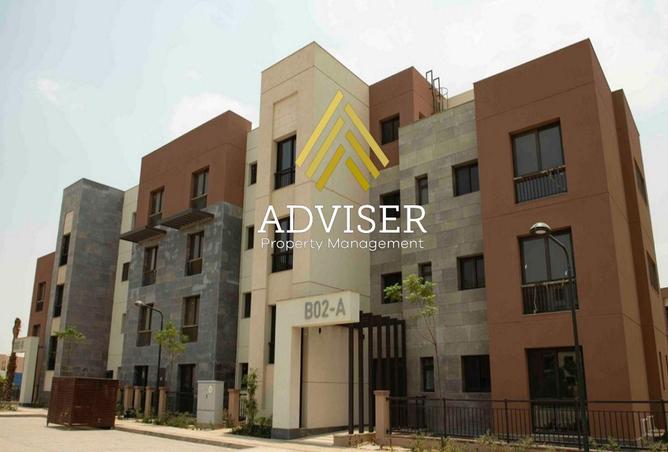 56505706 - Property Image 3