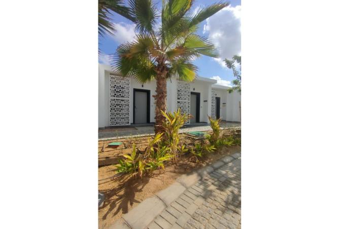 56509411 - صورة العقار 3