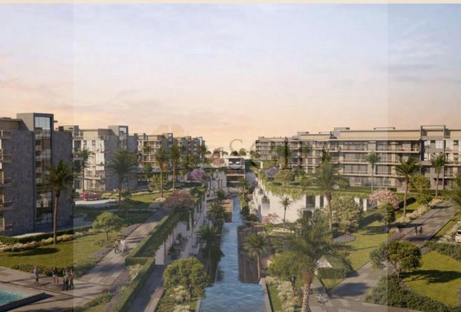 55246576 - Property Image 3