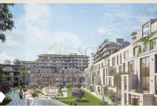 55246576 - Property Image 2