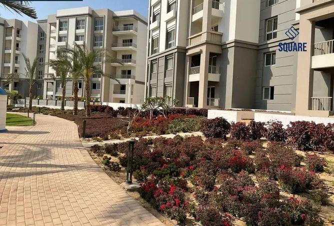 97716528 - صورة العقار 3