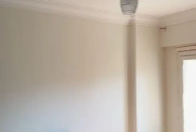 87232263 - Property Image 2