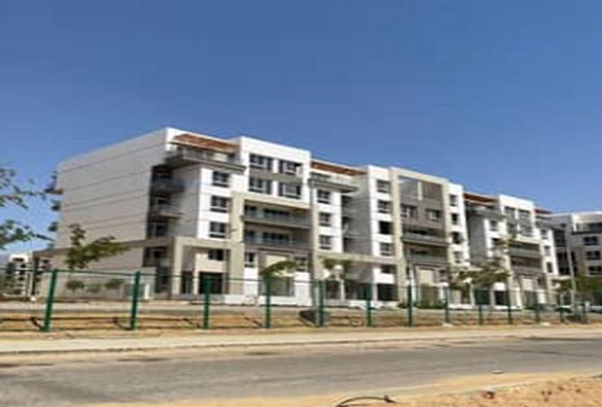 71915343 - Property Image 3