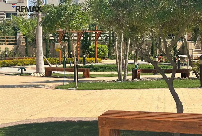 116222196 - صورة العقار 3