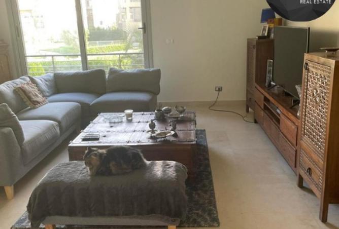 53643710 - Property Image 3