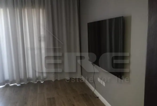 107120796 - Property Image 3