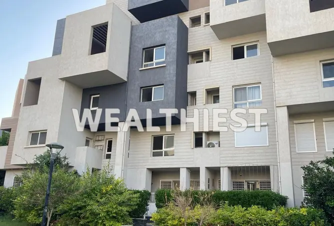 115173160 - Property Image 3