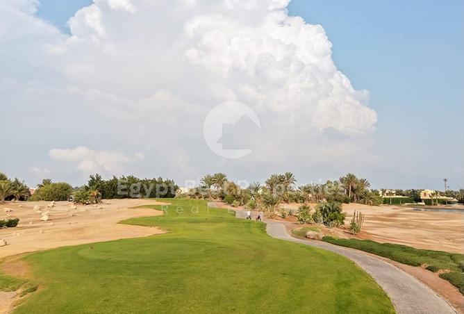 53222028 - صورة العقار 3