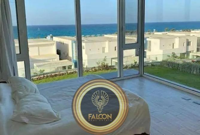 63136597 - Property Image 3