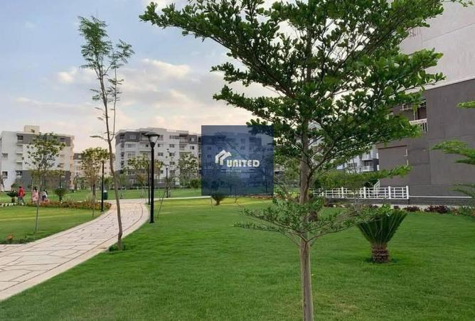 8511212 - Property Image 2