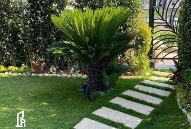 66698363 - صورة العقار 3