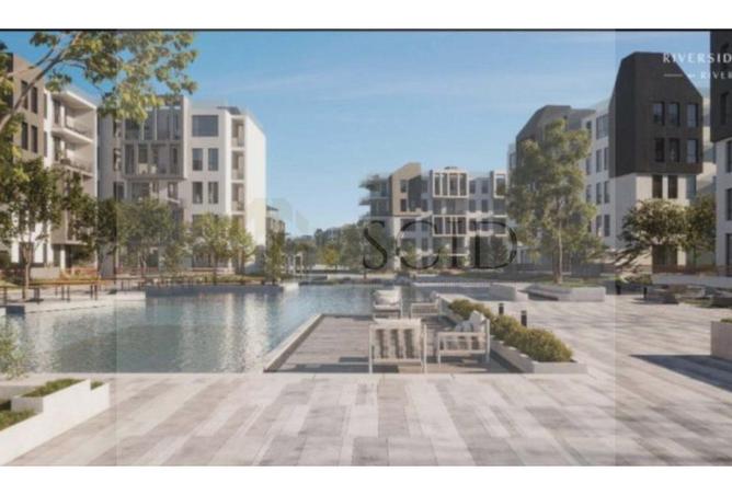 66427934 - Property Image 3