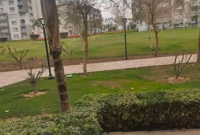 56240429 - صورة العقار 3