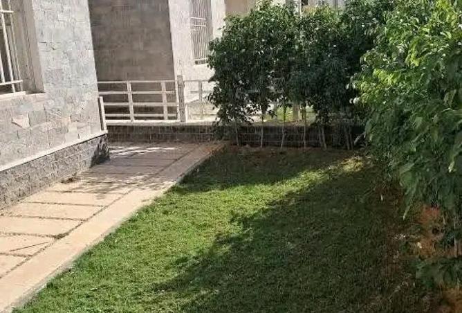 56240429 - صورة العقار 2