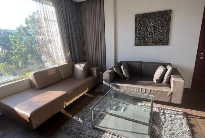 55501905 - Property Main Image