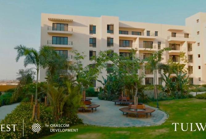 8603991 - Property Image 3