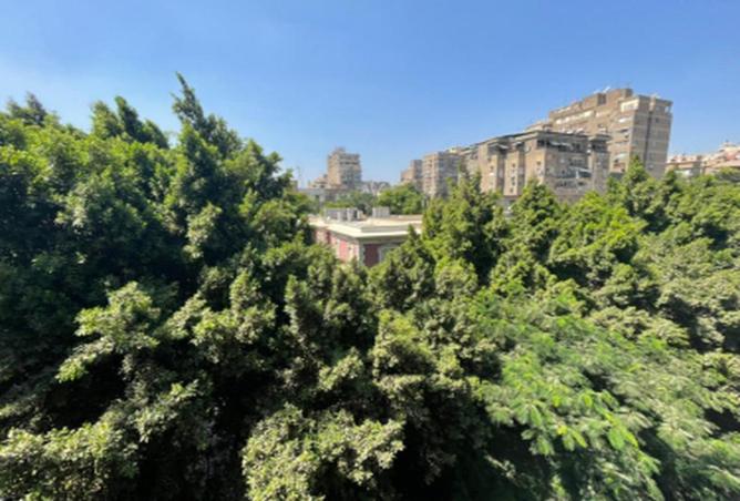 8717847 - Property Image 3