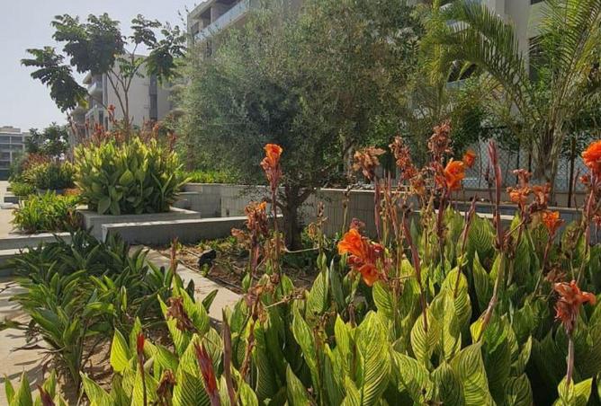 52454164 - صورة العقار 2