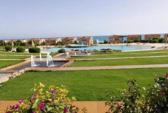 65915606 - Property Image 2