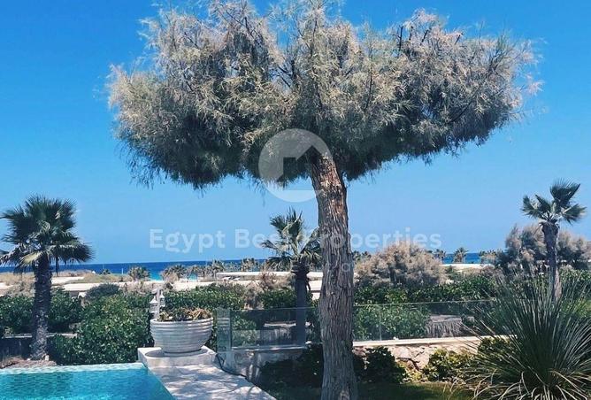 64899357 - Property Image 3