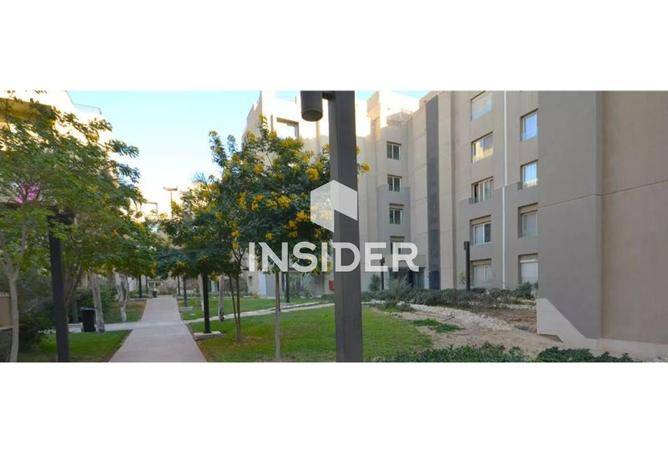 64650837 - صورة العقار 3