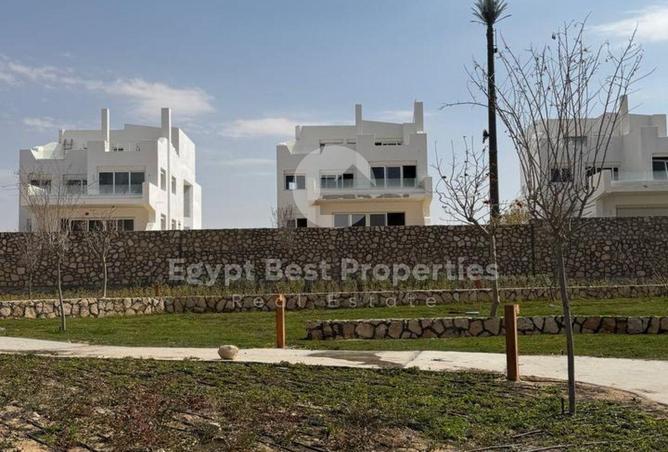 65164959 - صورة العقار 3