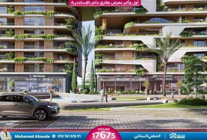 8576767 - Property Image 3