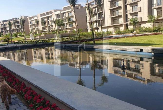 70374548 - صورة العقار 3